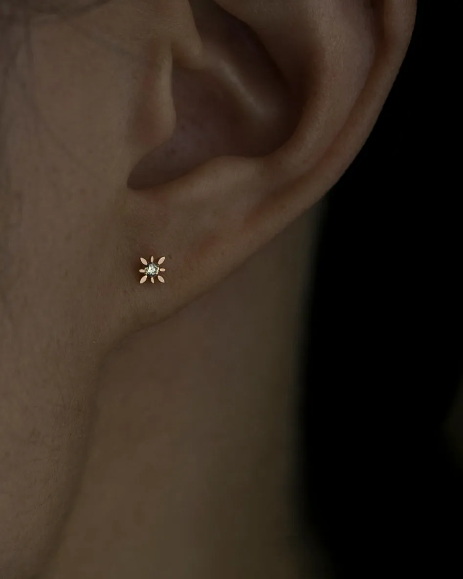 14k Diamond Polaris Starburst Earrings