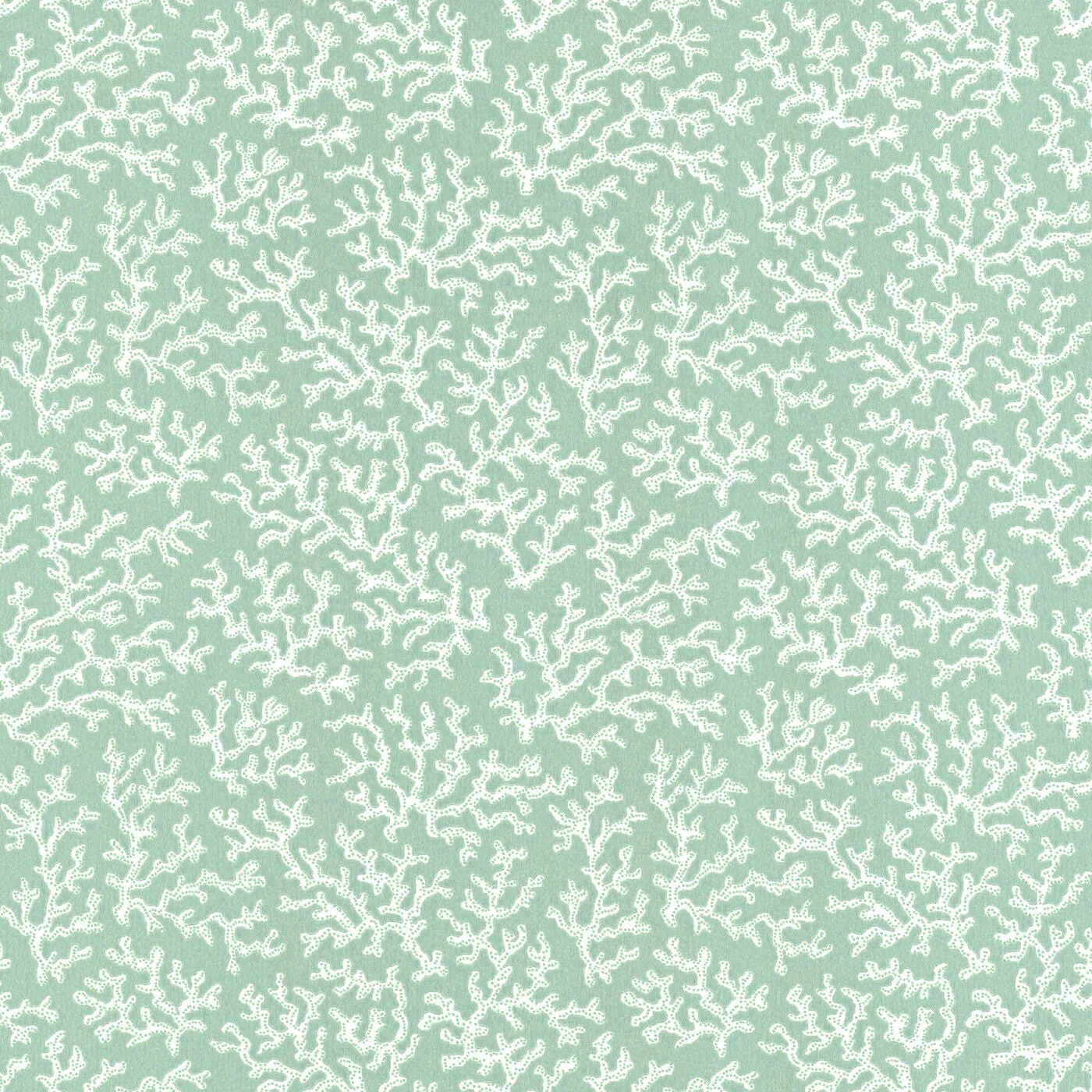 Coral Aqua - 39-55