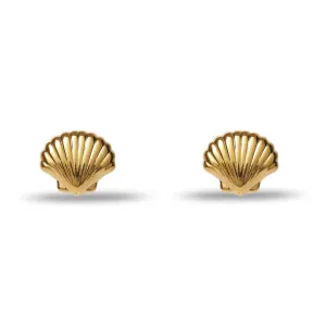 GOLD COQUILLE STUD EARRINGS