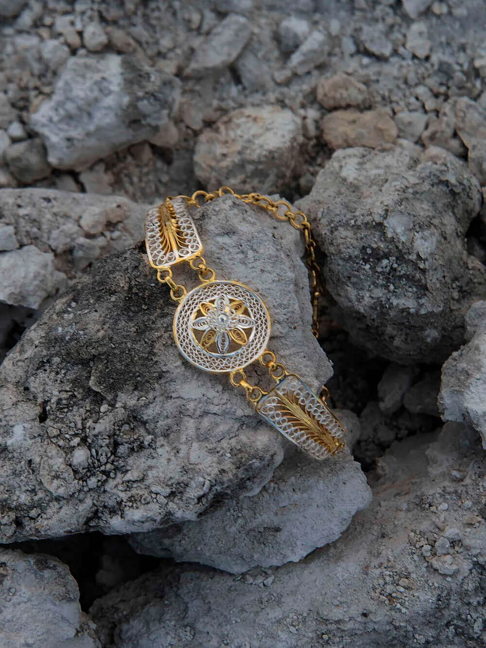 Golden promise - Rakhi